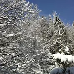 Ott - In The Mountains With Sauna Saint-Cergue