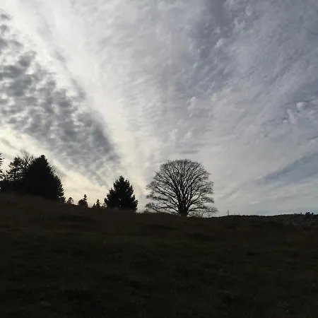 Appartamento Ott - In The Mountains With Sauna