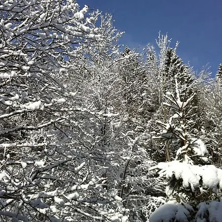 Ott - In The Mountains With Sauna Saint-Cergue