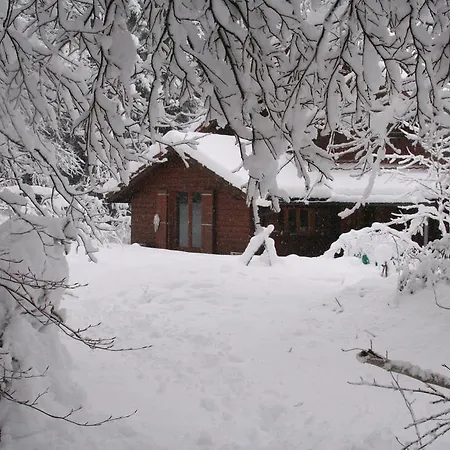아파트 Ott - In The Mountains With Sauna 생 세르그