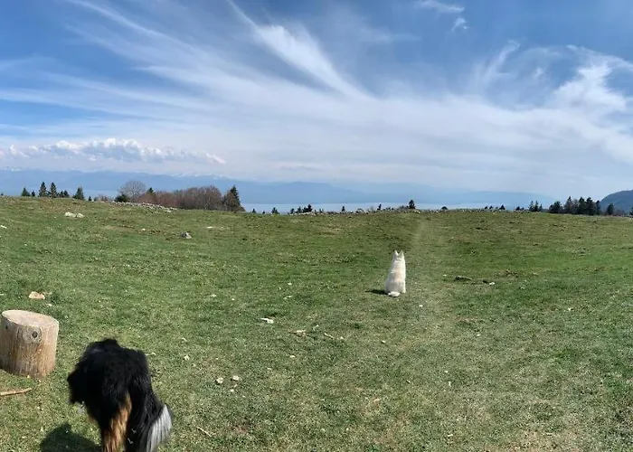 Apartament Ott - In The Mountains With Sauna