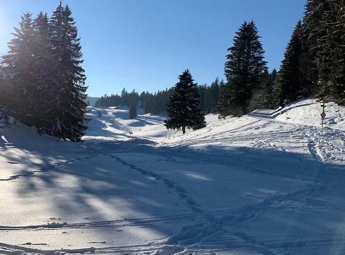 Appartamento Ott - In The Mountains With Sauna *