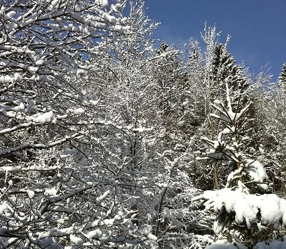 Ott - In The Mountains With Sauna Saint-Cergue