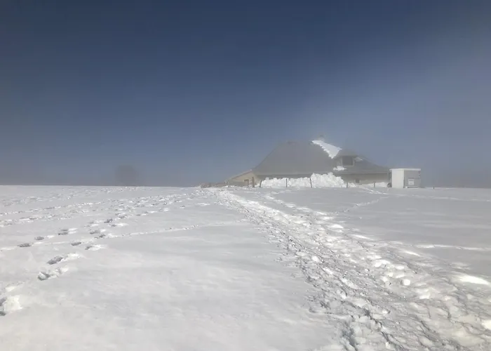 Ott - In The Mountains With Sauna *